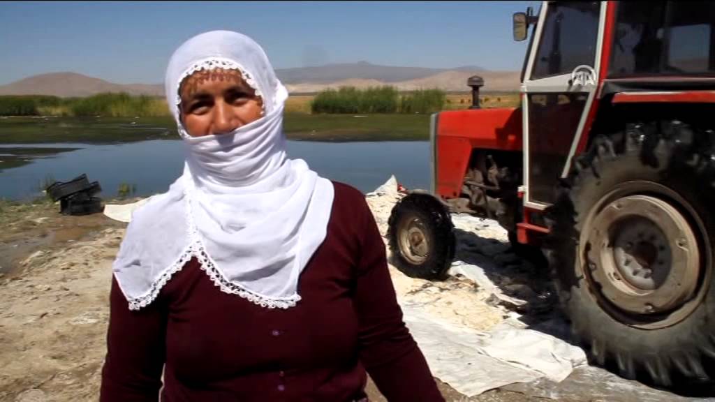Anadolu Ajansı - Traktörle yün temizliyorlar