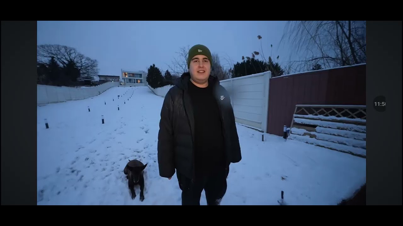Mam uitat la bisoi (rava și oprit dau băgat sub geața)