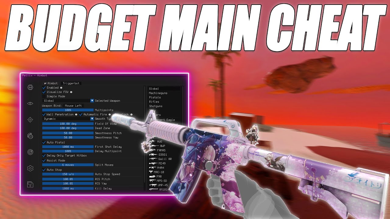 BEST BUDGET EXTERNAL FOR MAIN ACCOUNT | pellix.xyz (CS2 Legit Cheating)