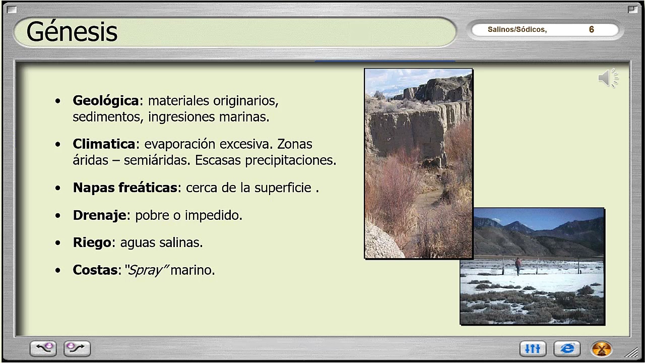 Suelos Salinos y/o sódicos (Parte 1)