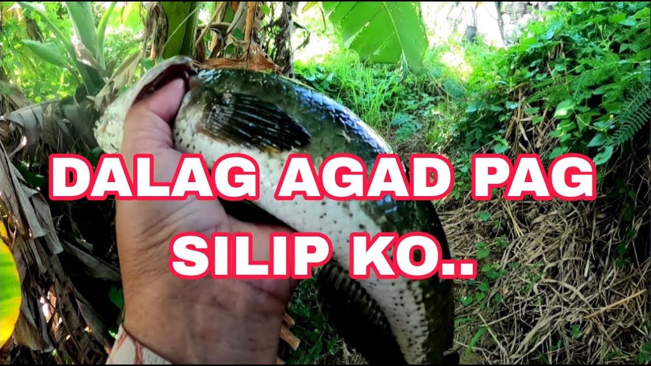 NABAGO MAN ANG RUTA KO SINUERTE PARIN AKO /Airgun Fishing /Fishgunerong Madiskarte