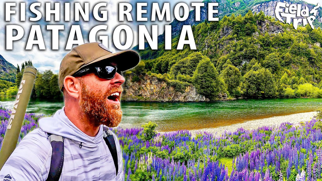 Solo Fishing in Remote Patagonia Wilderness - Catch & Cook (Part 2)