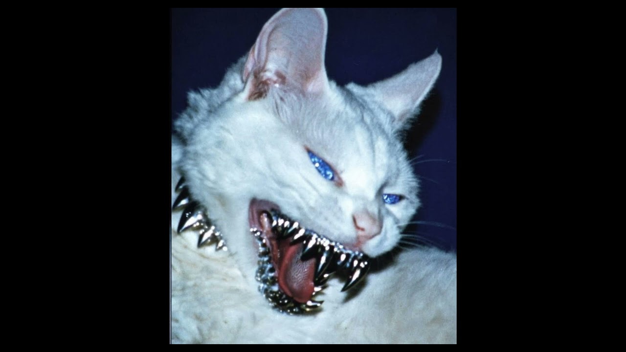 (FREE FOR PROFIT) HARD $UICIDEBOY$  X FREDDIE DREDD TYPE BEAT - 
