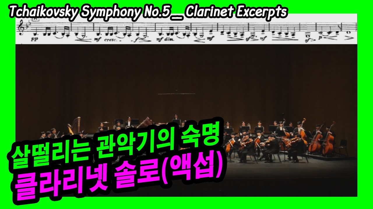 (자막해설)◐Tchaikovsky Symphony No.5 Clarinet Excerpts◑ / 차이코프스키 5번 교향곡 클라리넷 액섭/ [슈테른필하모닉오케스트라]
