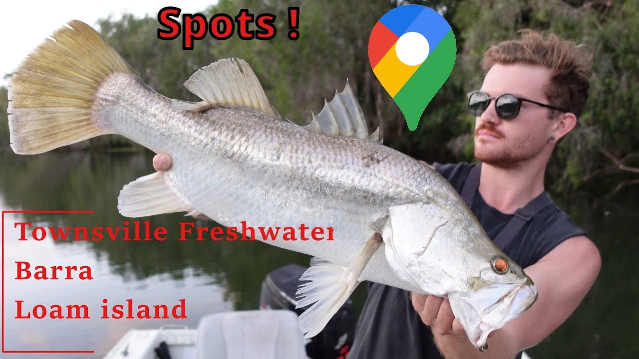 Townsville Freshwater Barramundi LOAM ISLAND ROSS RIVER