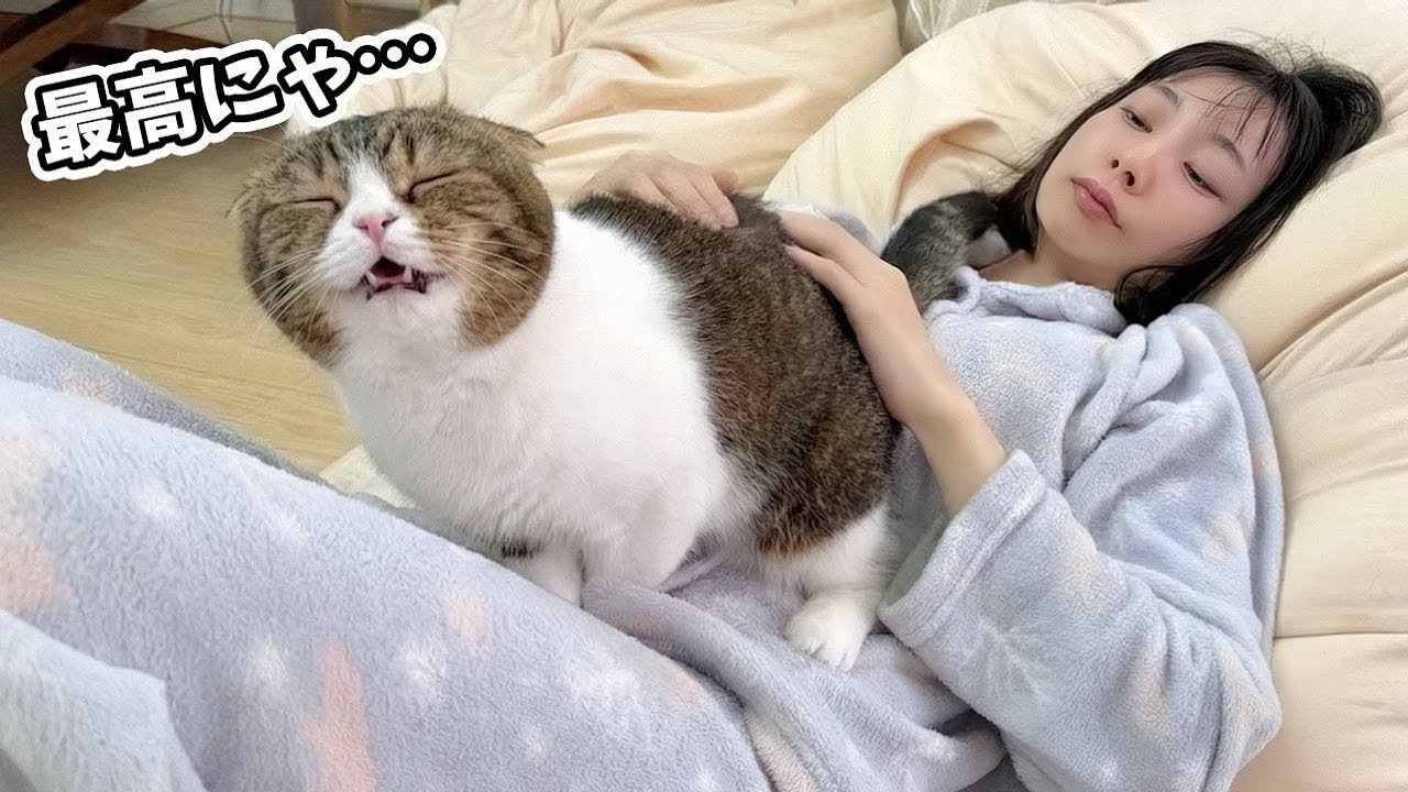 6日ぶりに帰宅できた猫が甘えん坊を爆発させてママから離れなくなりました…！