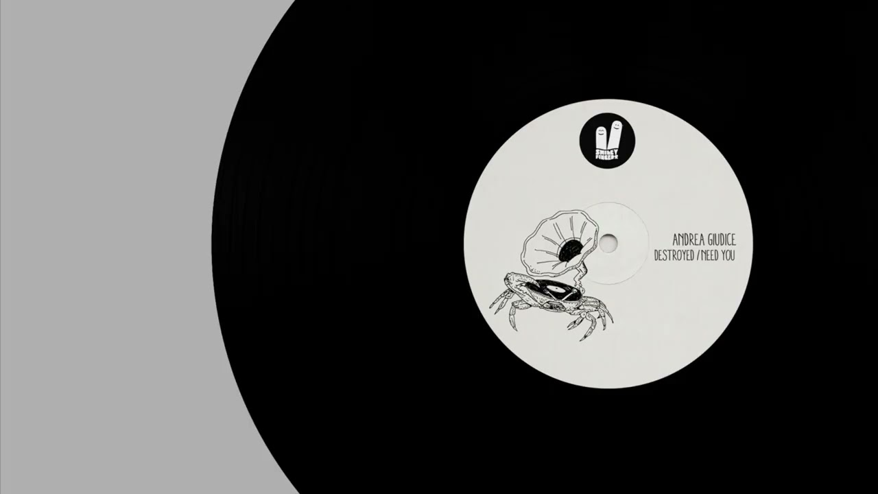 Andrea Giudice - Need You