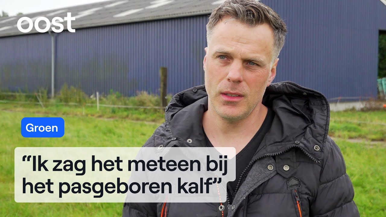 Koeienboer Paul moet helft van zijn dieren vervangen door blauwtong | Oost