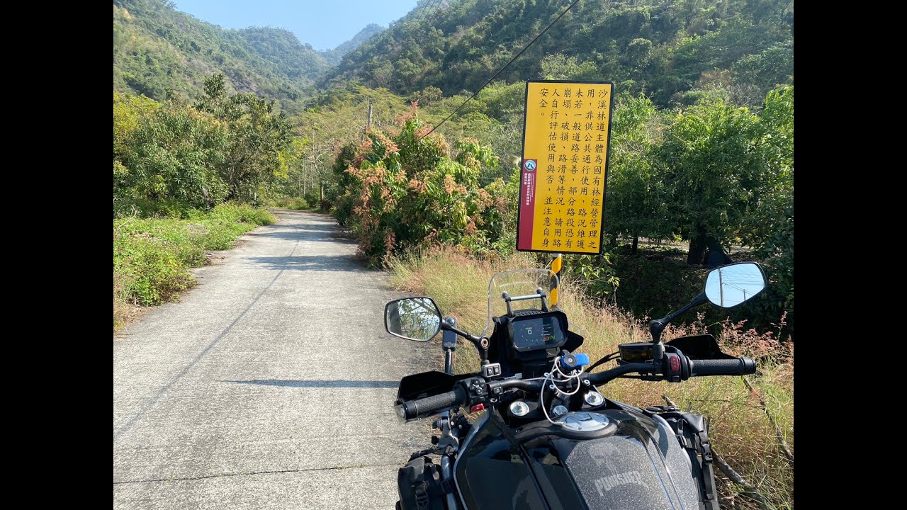 探訪沙溪林道-入口處至尾寮山登山口_450mt_小油鳥