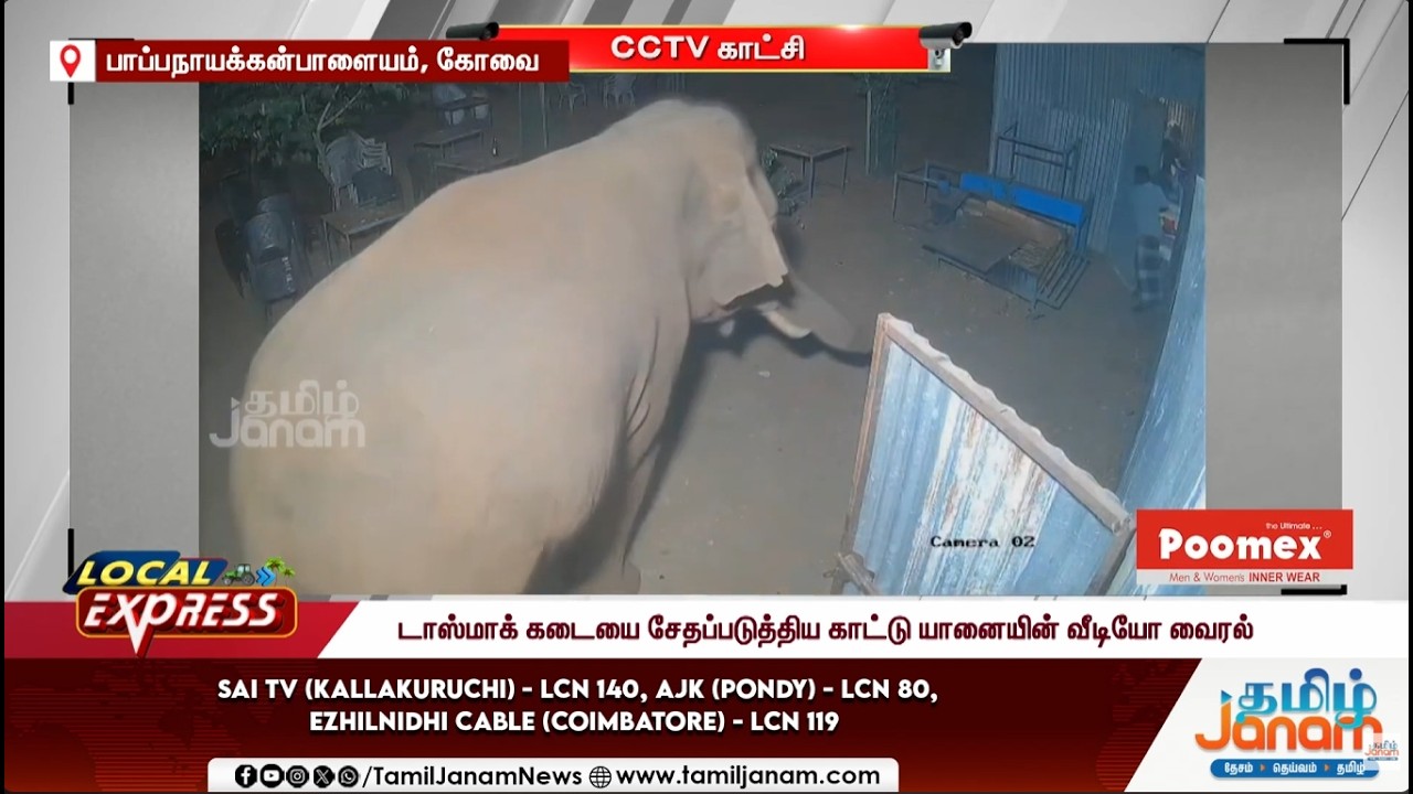 Tasmac | Elephant | Salem | டாஸ்மாக் கடையை சேதப்படுத்திய காட்டு யானையின் வீடியோ வைரல்...