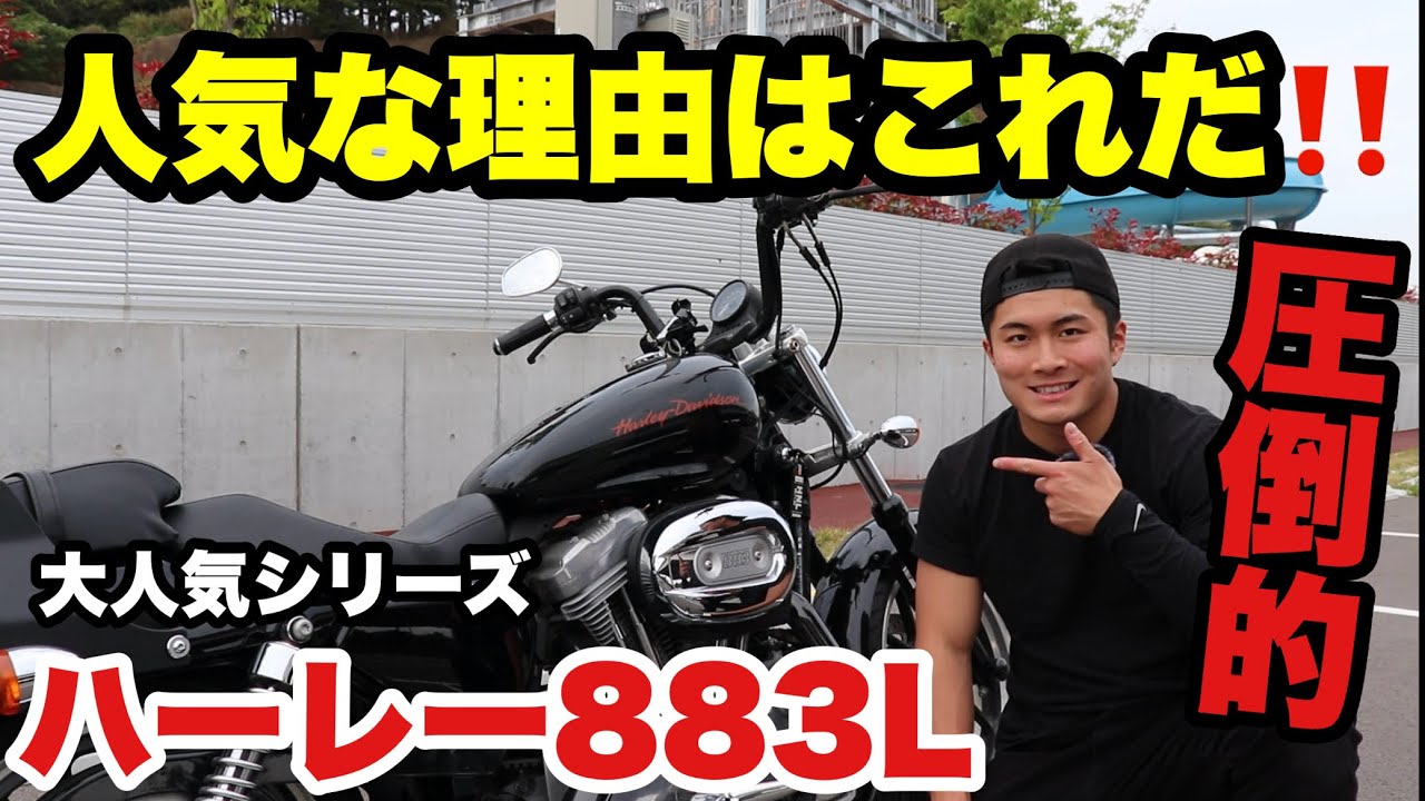 【ハーレー】XL883L一ヶ月乗ってみた感想‼️