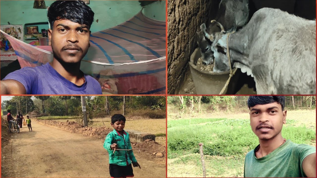 আমি ঘরে যেভাবে থাকি নরমেল লাইফ 