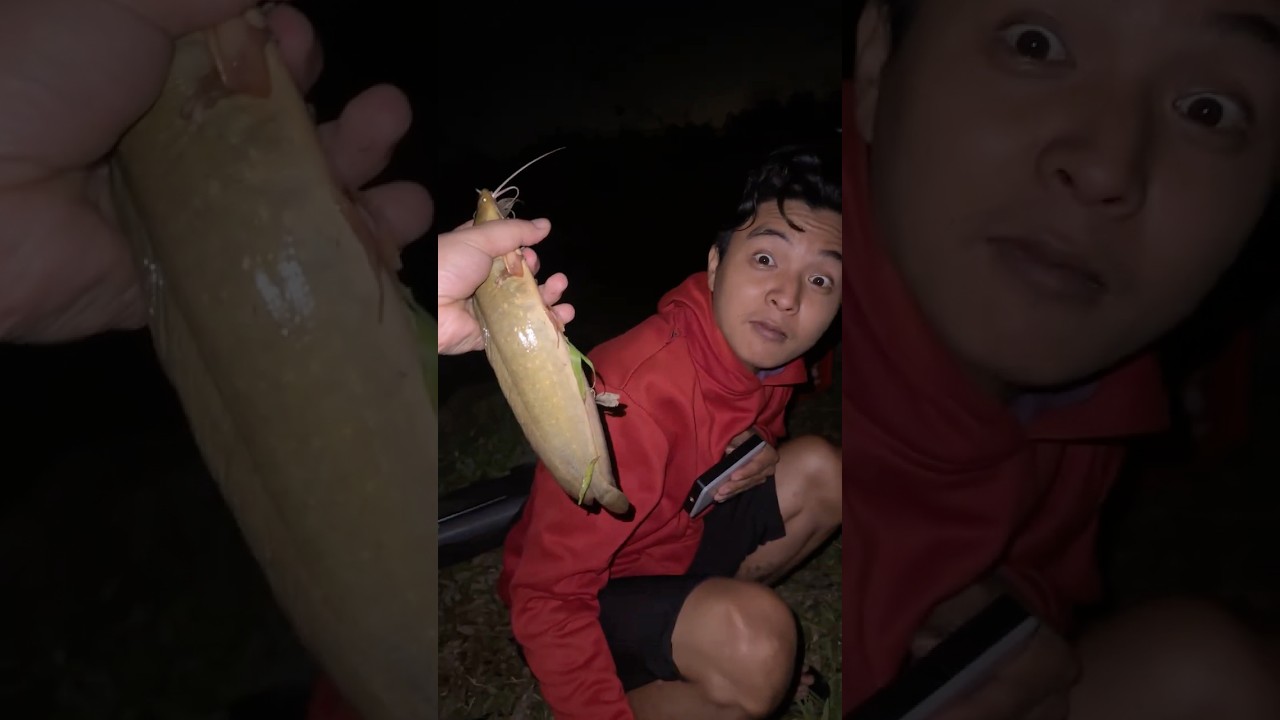 C&acirc;u C&aacute; Cầu Rạch Miễu #anfishing1610  #fishing #shots  #haihuoc #cauca