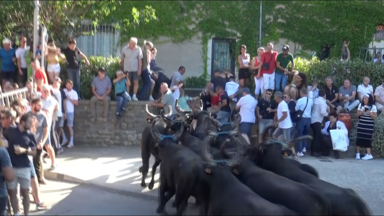NOS FETES VOTIVES 2023 – Saint Maurice de Cazevieille 2023