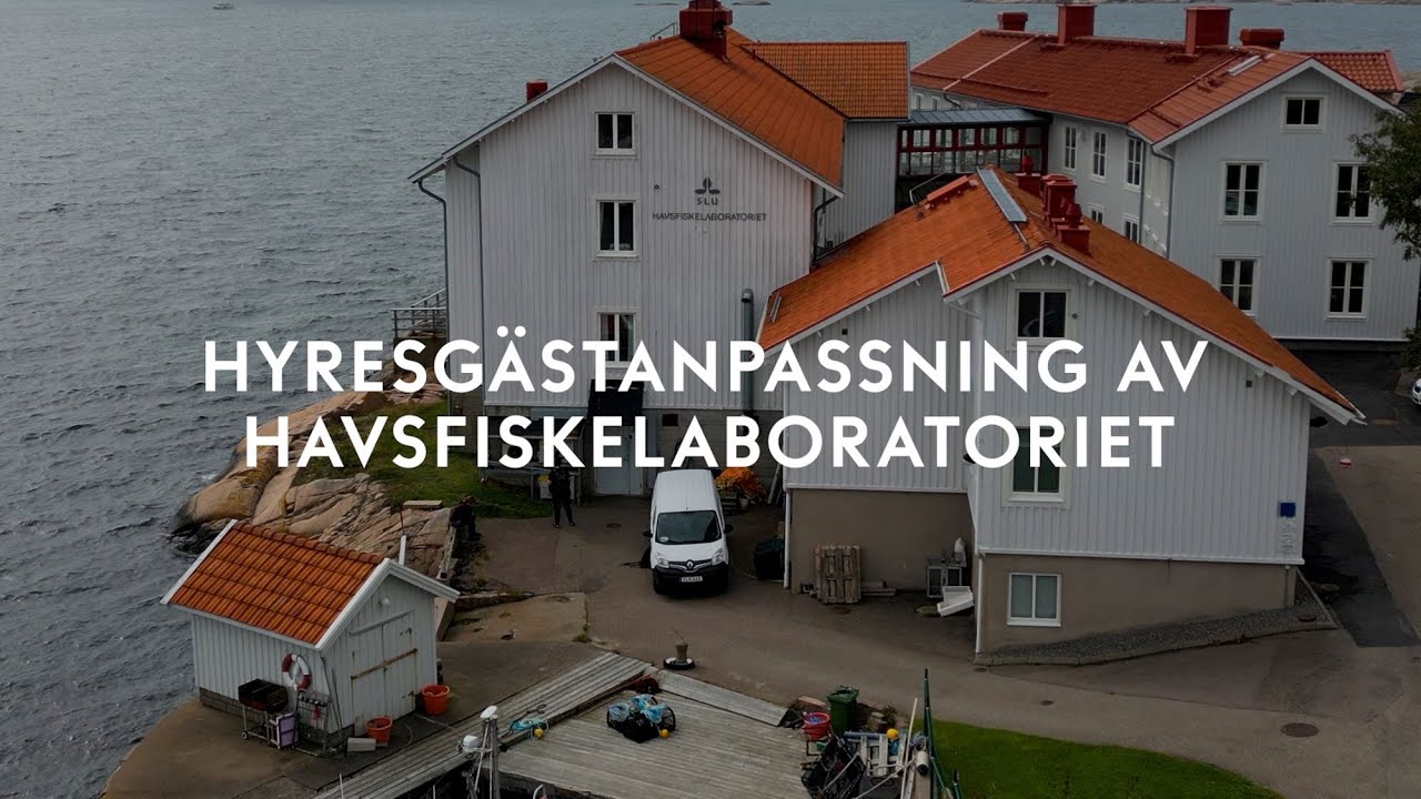 Hyresgästanpassning av Havsfiskelaboratoriet