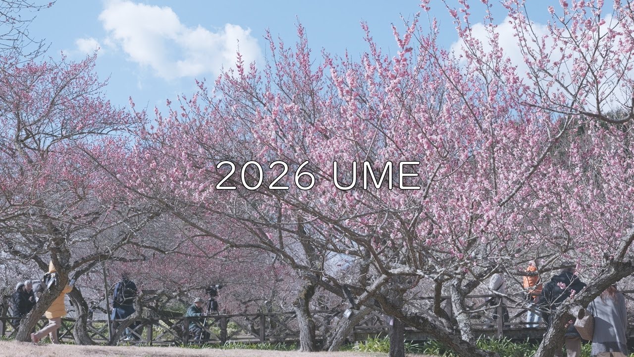 早春の小田原フラワーガーデン | 300品種の梅まつり 2026 | LUMIX S9