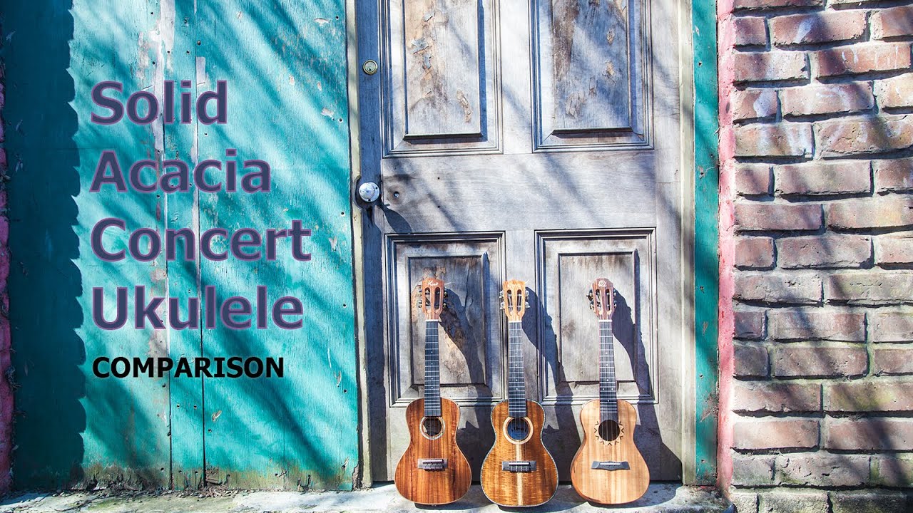 Kai, Uma and Snail All Solid Acacia Concert Ukulele Comparison