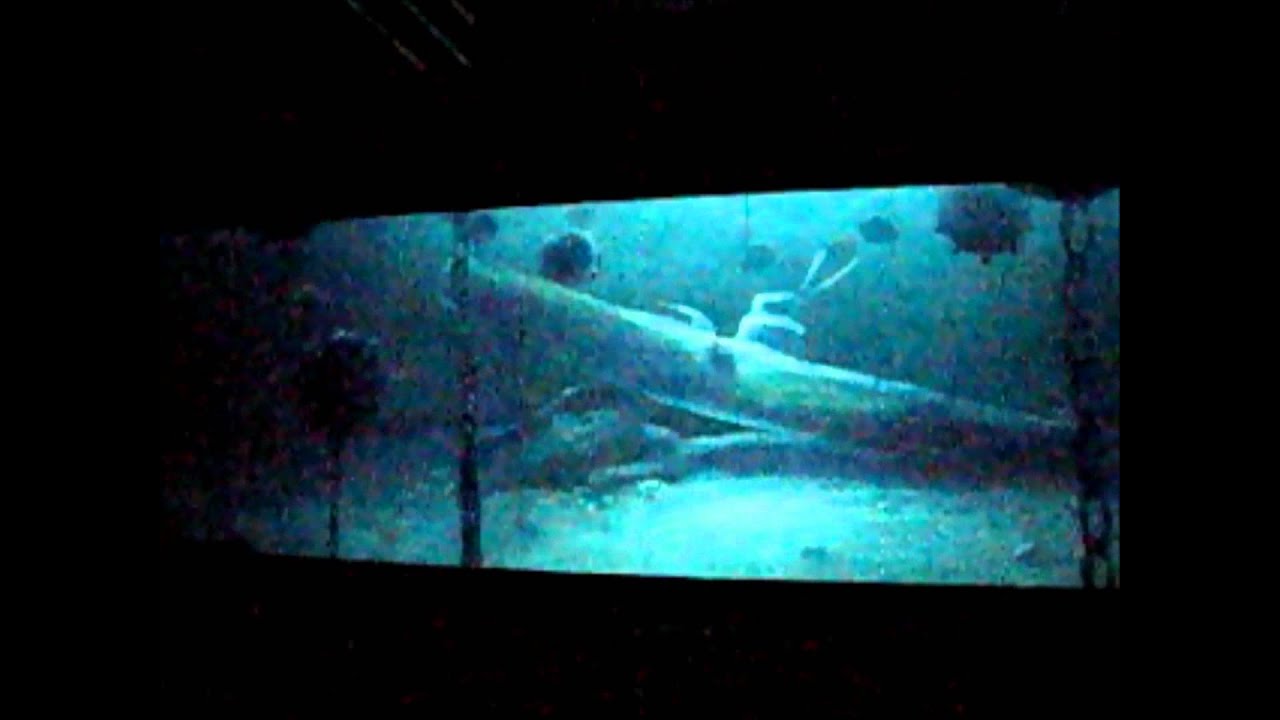 Pixar Exhibition.wmv