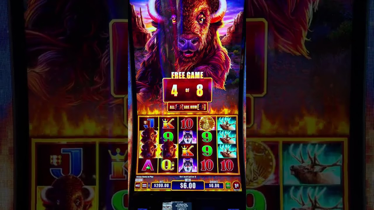 Покупка мгновенной функции на 200 долларов в НОВОМ Buffalo Power приносит прибыль! @slots #lasveg...
