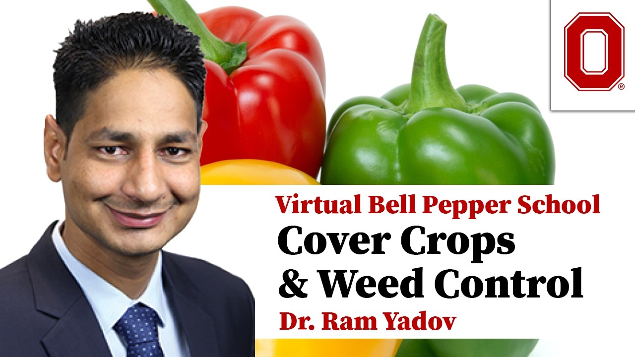 Integrating Cover Crops for Improved Weed Control - Ram Yadav