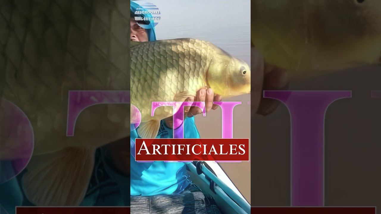 👌Nuevo Canal Pescadores Argentinos
