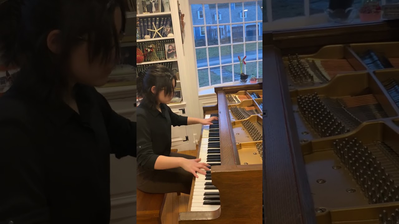 Les Cloches de Genève by Franz Liszt