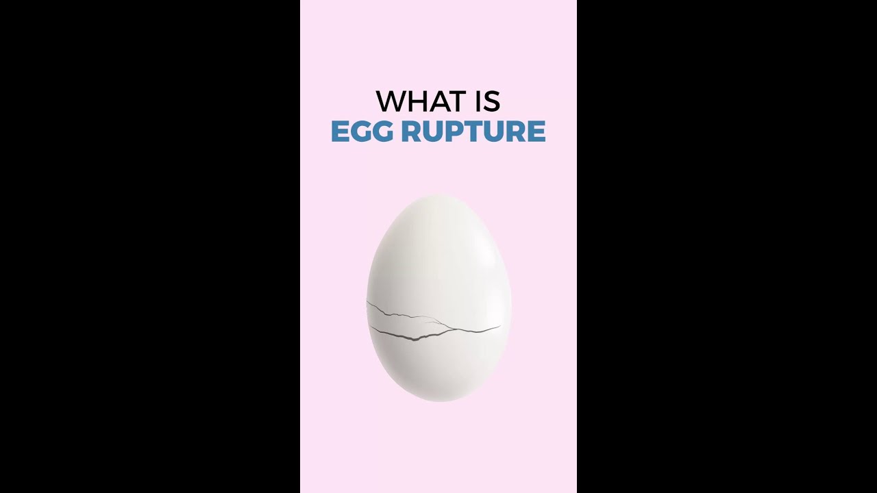 What is Egg Rupture mean?