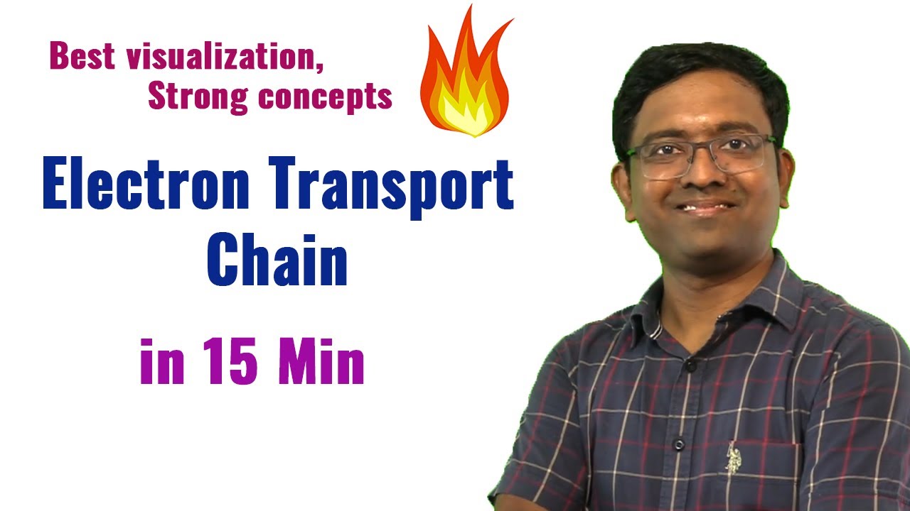Electron transport Chain I NEET I Dr Kunal (KT)
