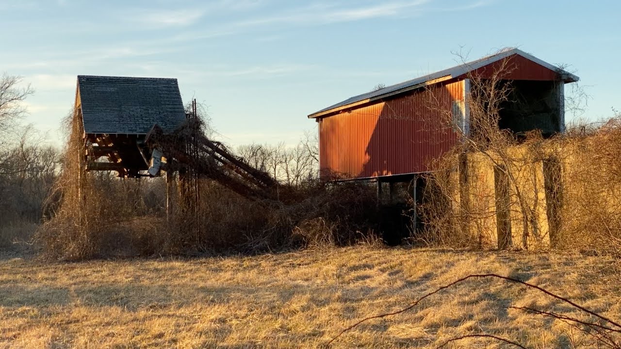 West Cape May, The 