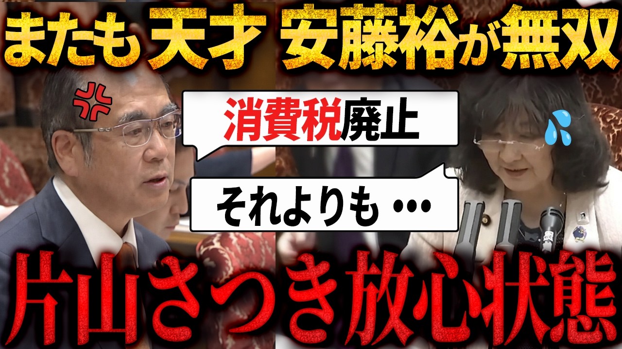 【速報】「消費税について本当に理解してますか！？」圧倒的知性で片山大臣を追い詰める　#参政党 　#安藤裕 　#国会　＃神谷宗幣