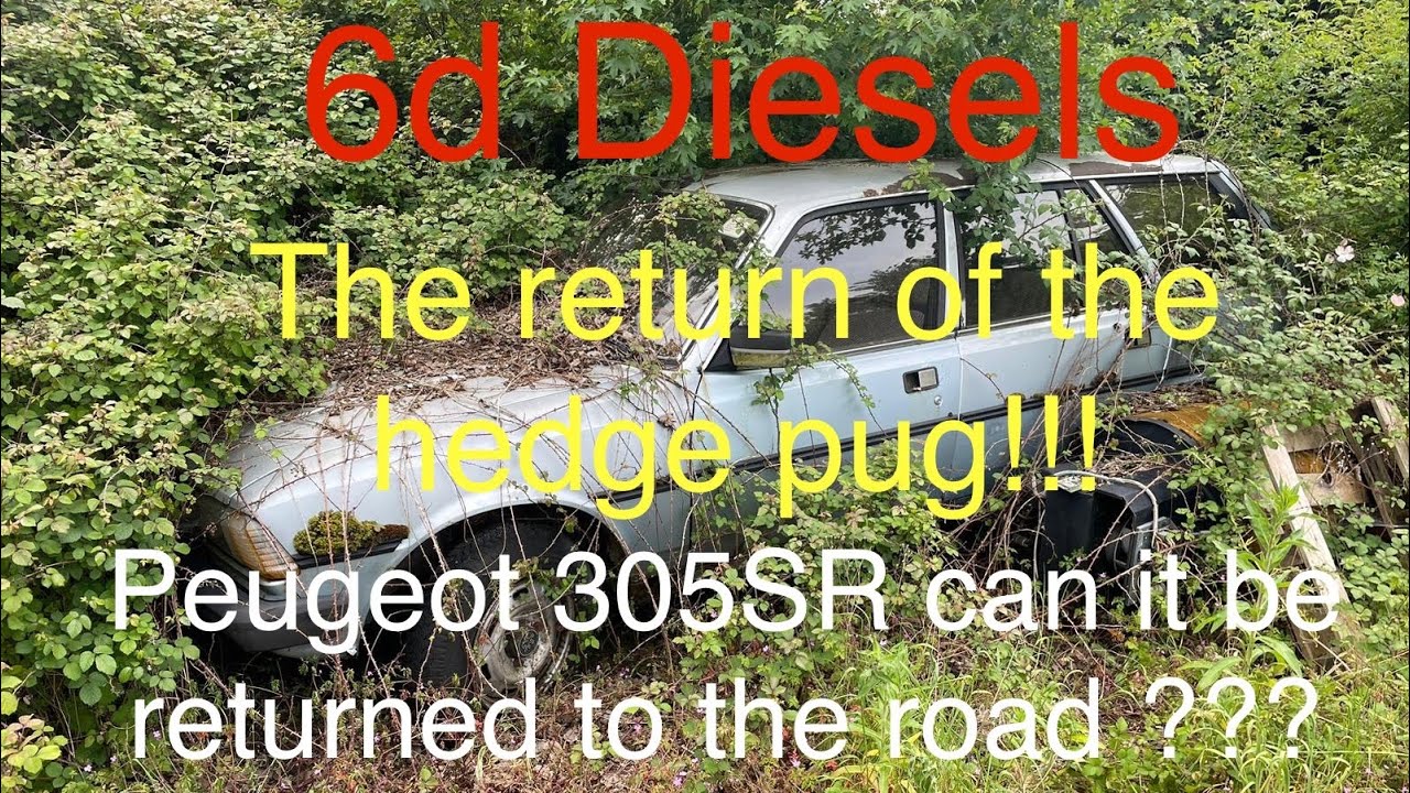 The return of the hedge Pug,can the 305SR be made road legal for the festival of the unexceptional??