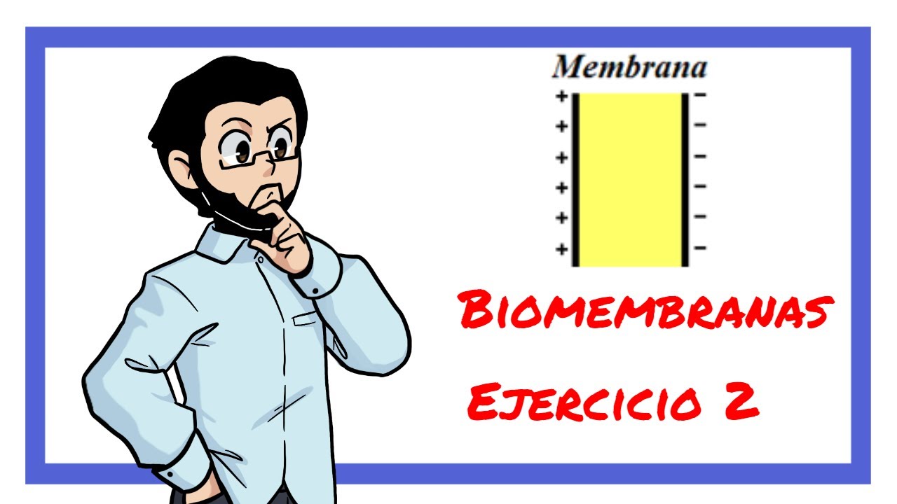 Biomembranas. Ejercicio 2