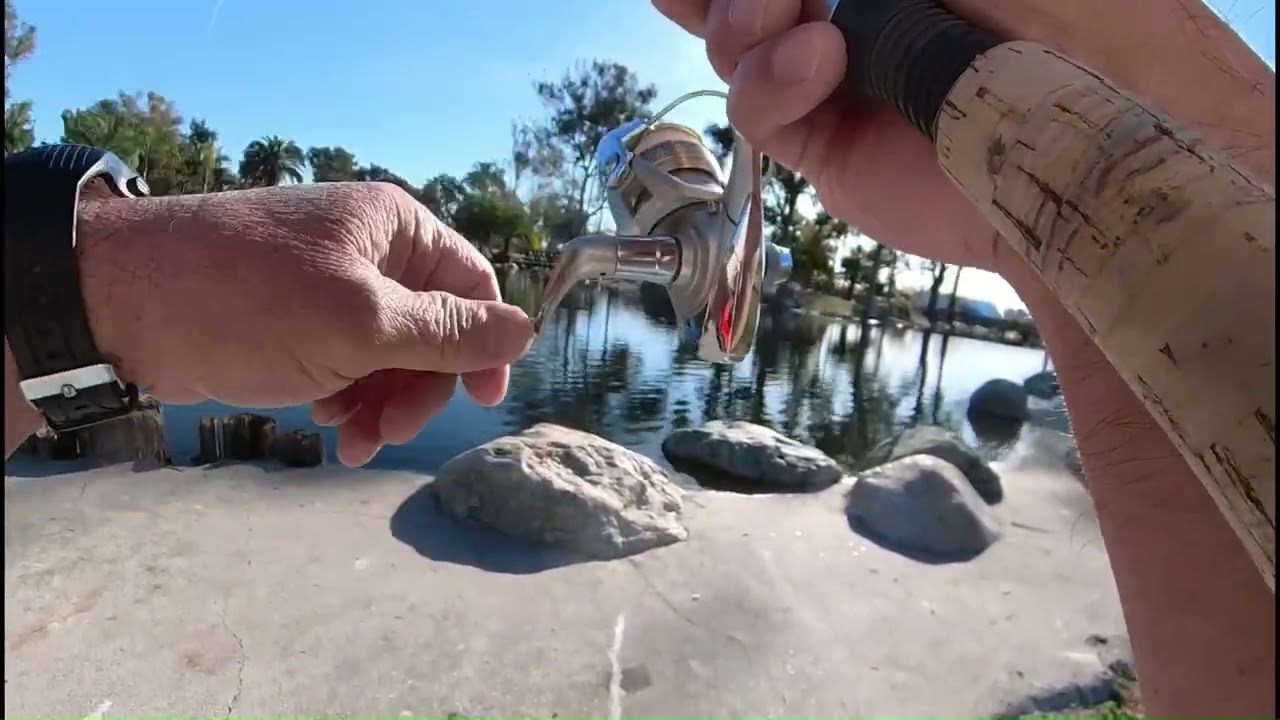 Trout Fishing Only Game In Town