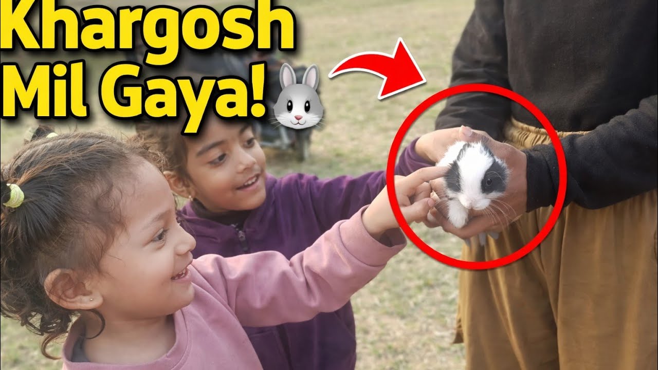 Bachchon Ke Saath Park Gaye 🌳 | Khargosh Dekhkar Khushi Se Uchhal Pade 🐰| @sumanrawat9508  