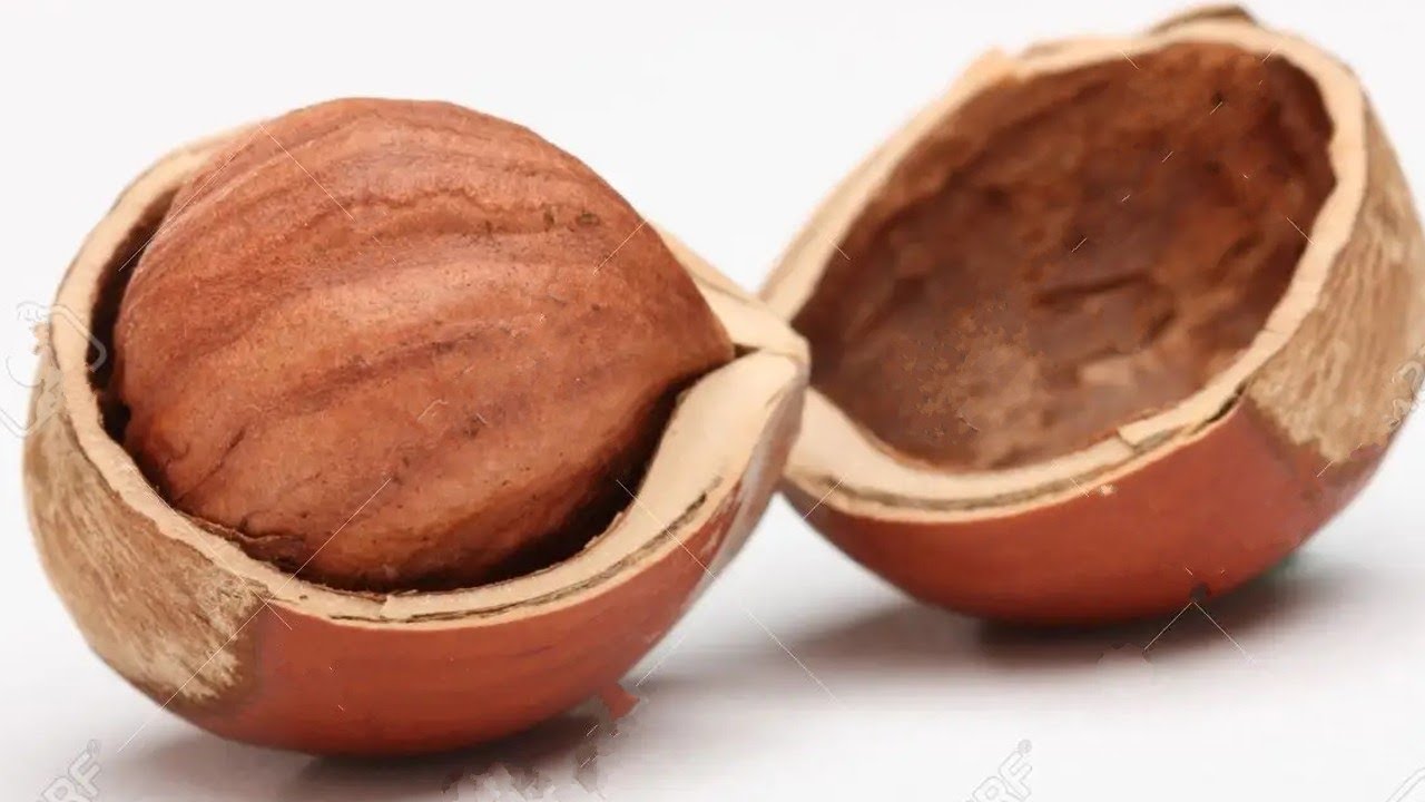 6 Gr&uuml;nde, warum die HASELN&Uuml;SSE nicht nur lecker, sondern auch GESUND sind