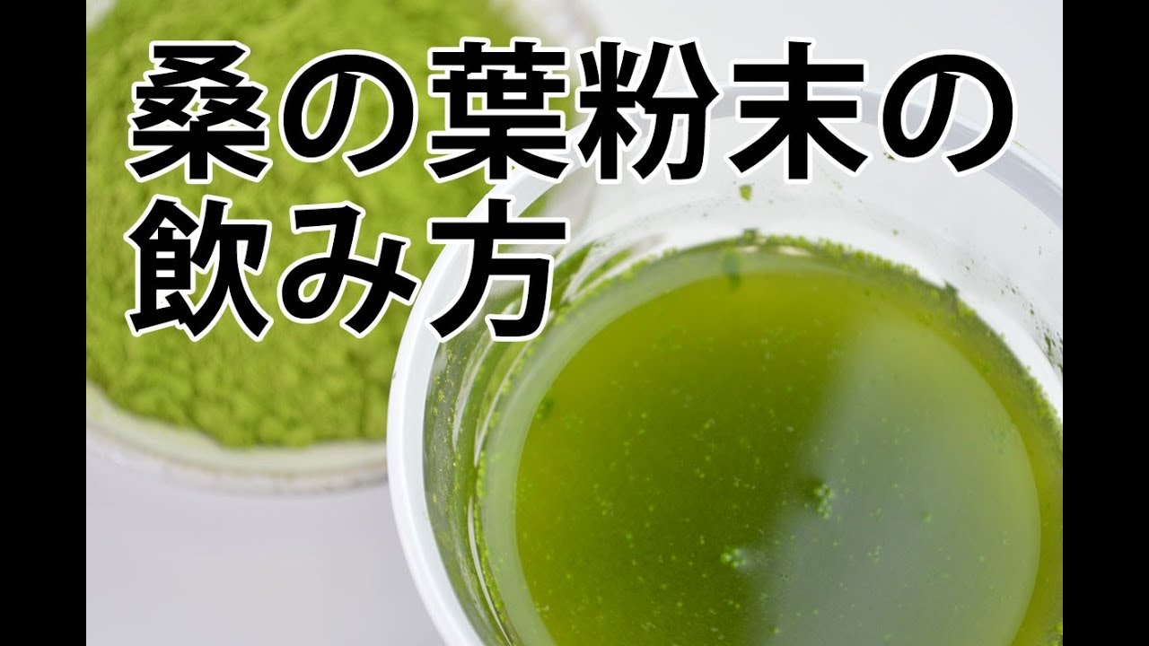 桑の葉粉末の飲み方