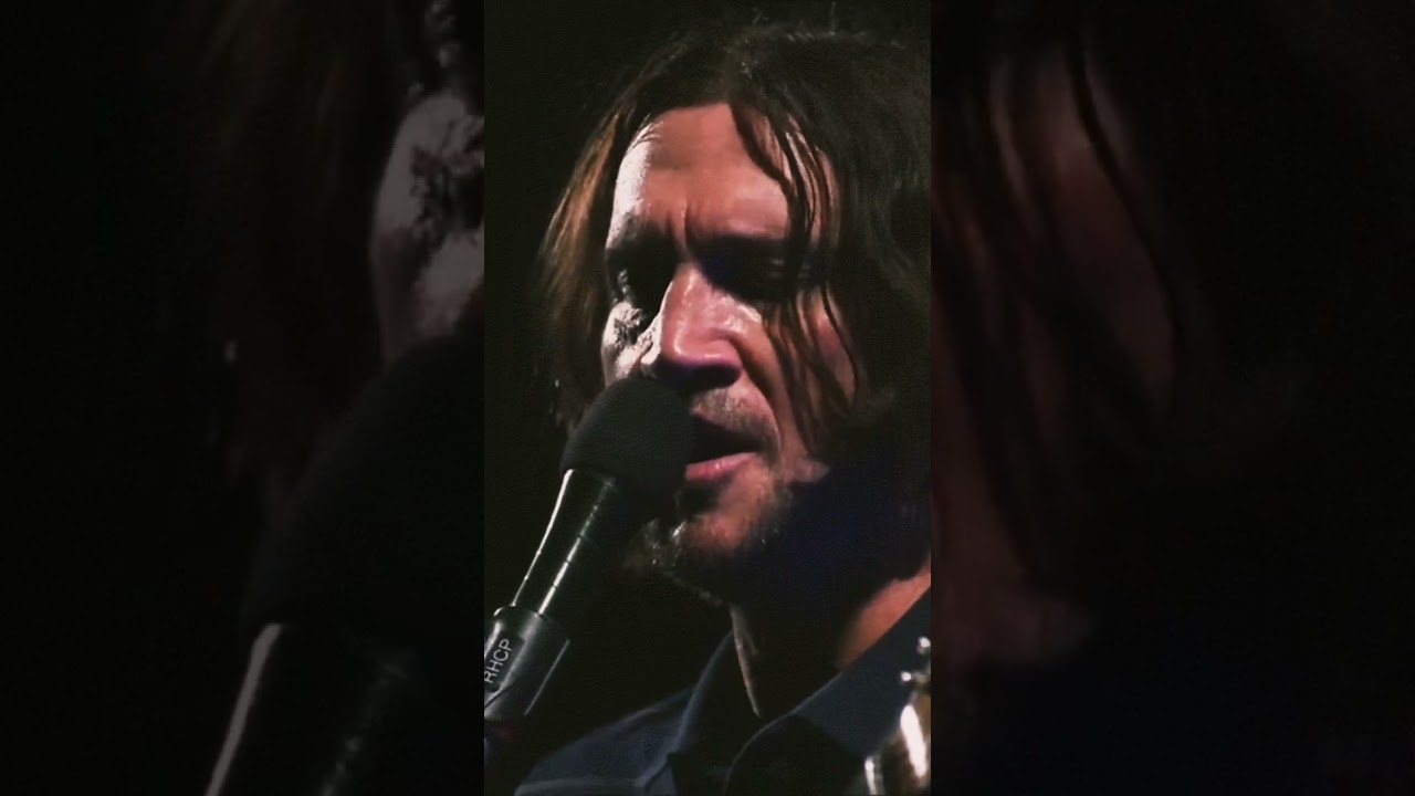 John Frusciante - I Remember You (Ramones Cover) - Live Austin City Limits 2022 ~Letra