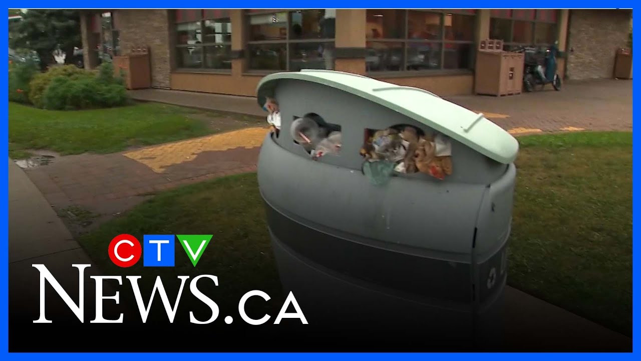 Complaints pile up amidst Toronto trash problems