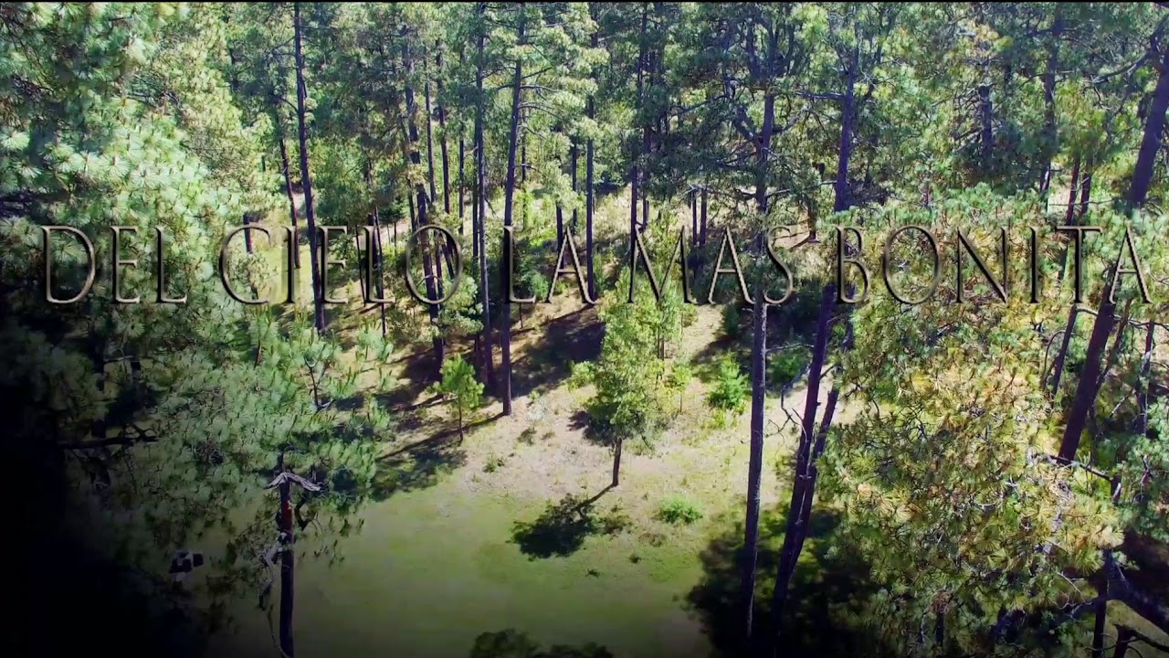 Km2 la diferencia musical del cielo la más Bonita video clip oficial