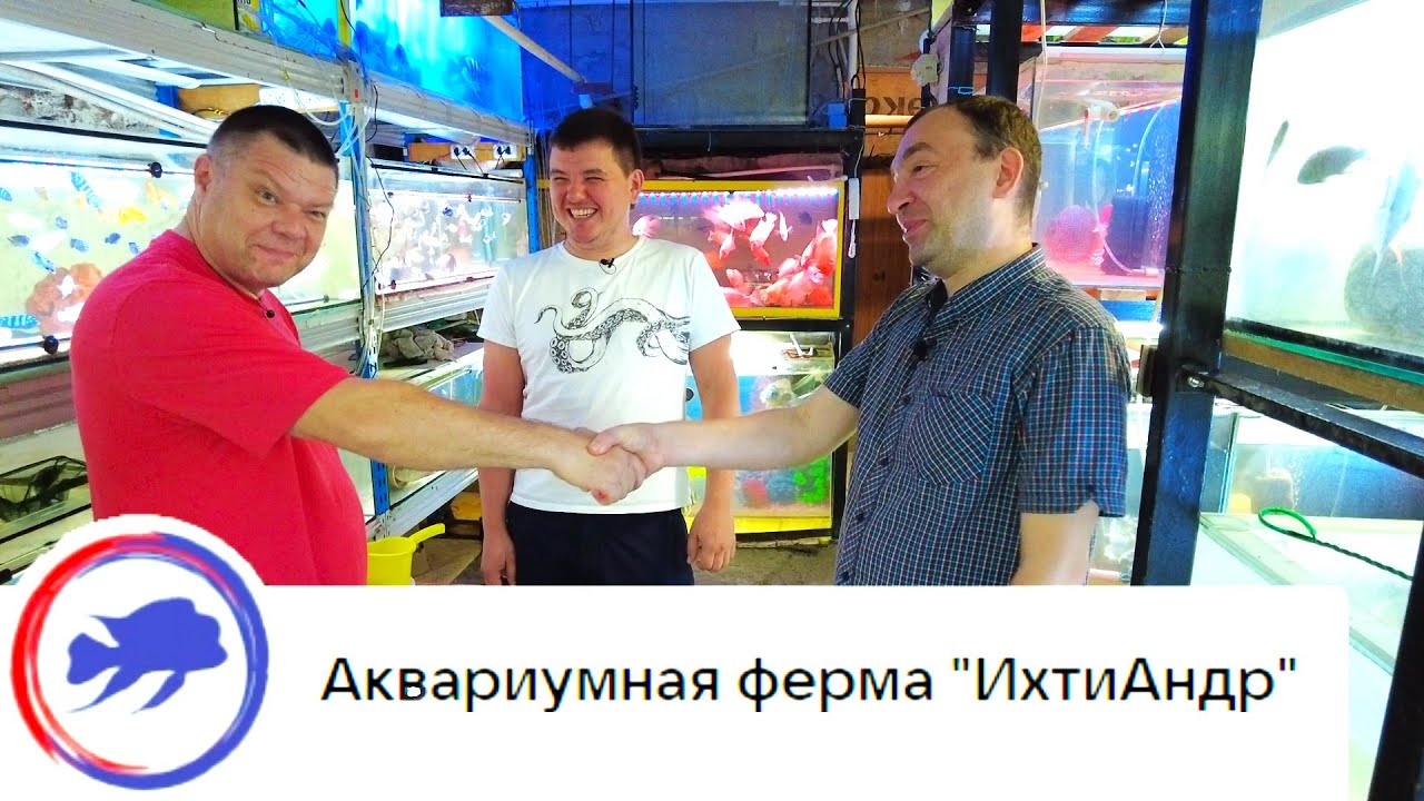 Аквариумная ферма ИхтиАндр г.Ростов-на-Дону