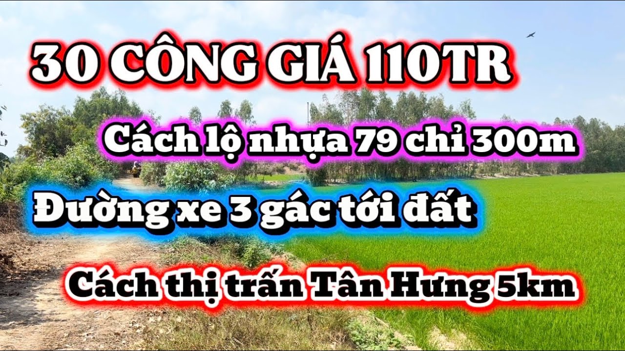 ( số 37 ) 30 công siêu phẩm - giá rẻ bèo - gần chợ tân hưng - long an - xem là chốt
