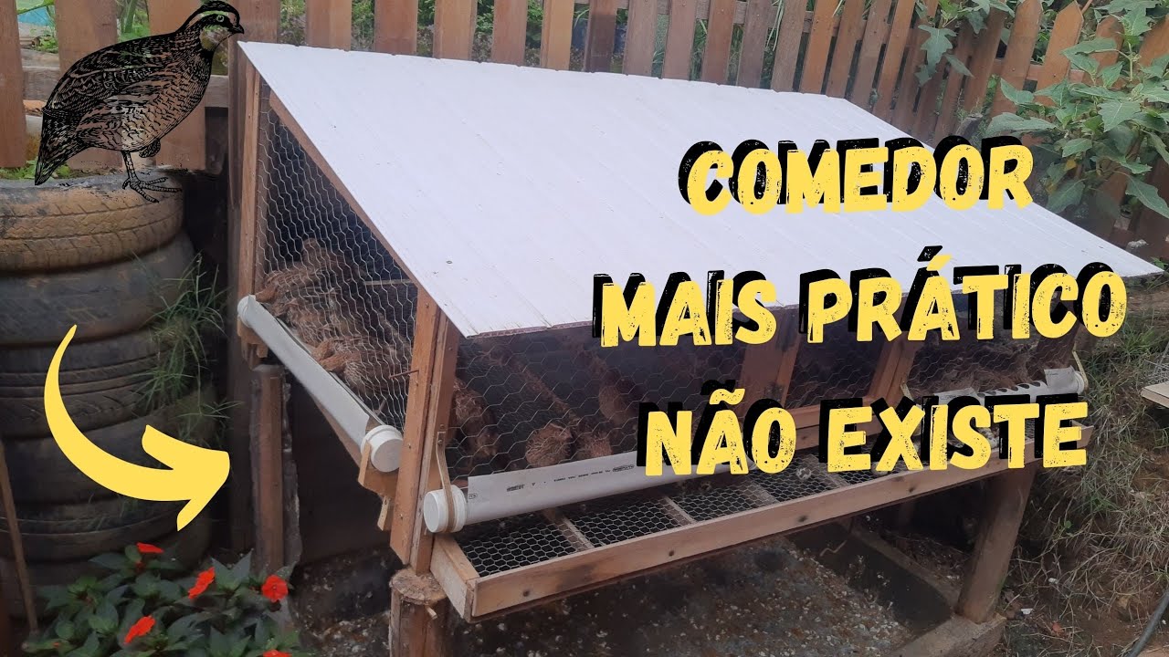 como fazer está comedouro para CODORNAS muito prático @TILAPIAMinhaVida #sustentabilidade
