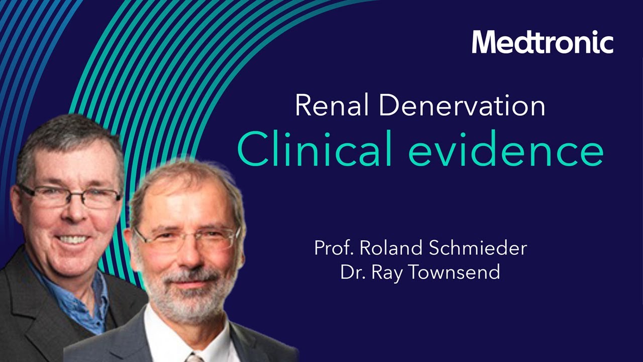 The Nephrologist's perspective on renal denervation