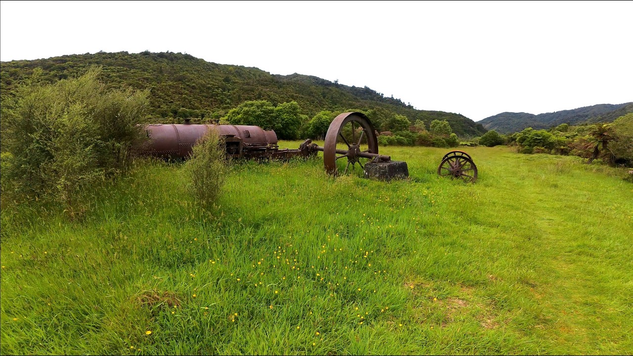 Morning walk on the Waiotauru Track - Otaki Forks - New Zealand