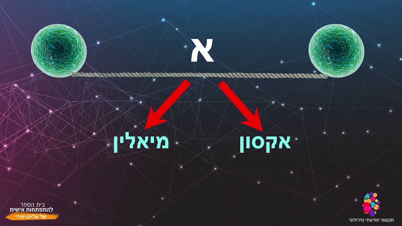 הרצאת מבוא של אליהו שירי על שיטת התקשור התודעתי נוירולוגי מבית כח התודעה- מהפכת התודעה הבאה של ישראל