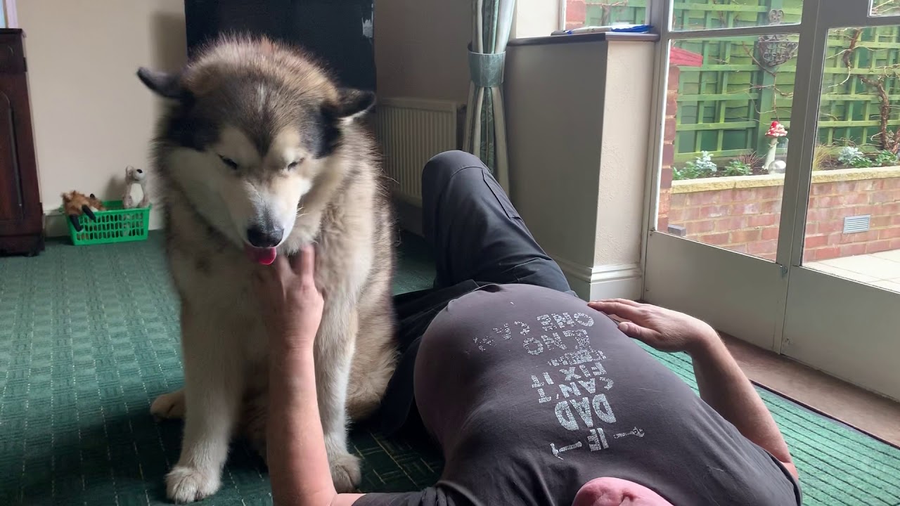 DONT STOP CUDDLING GRANDPA