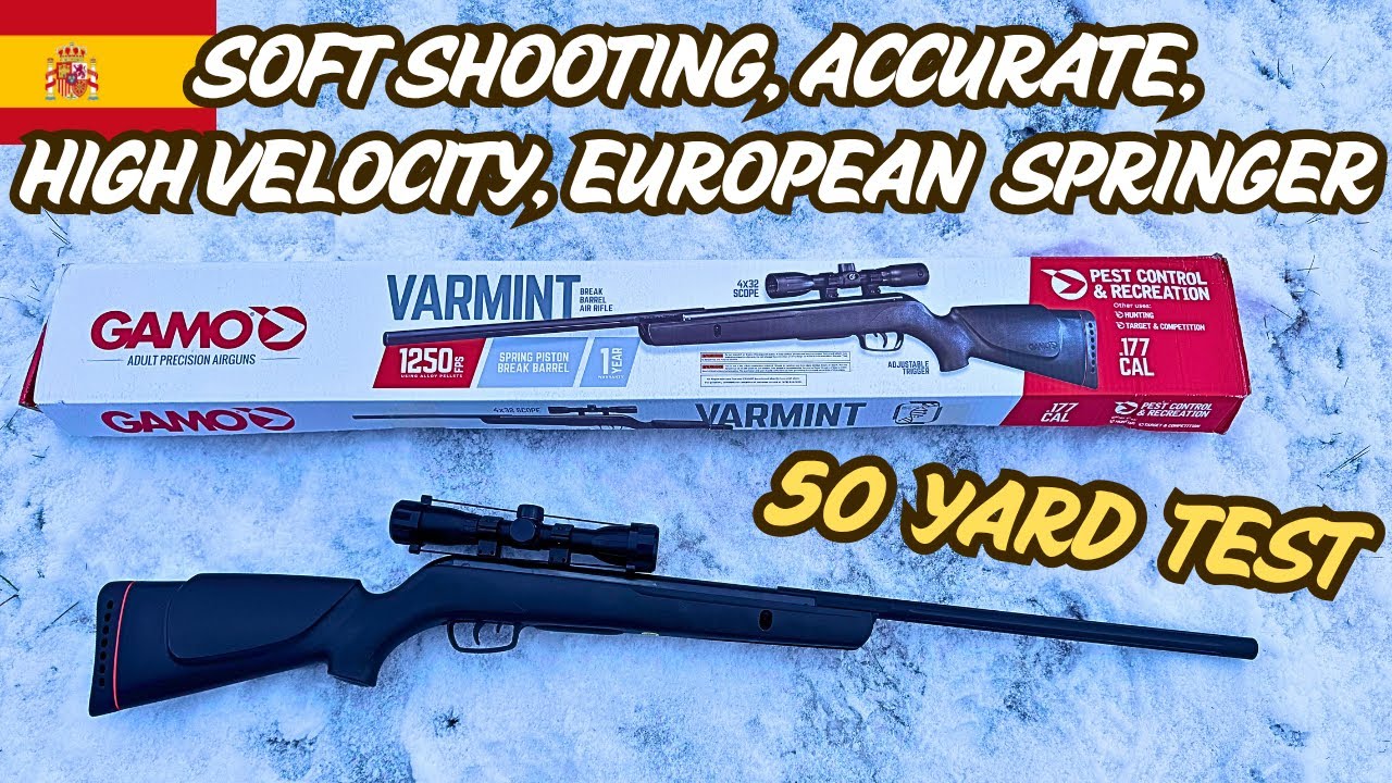 Gamo Varmint .177 — без излишеств, европейский пружинный патрон