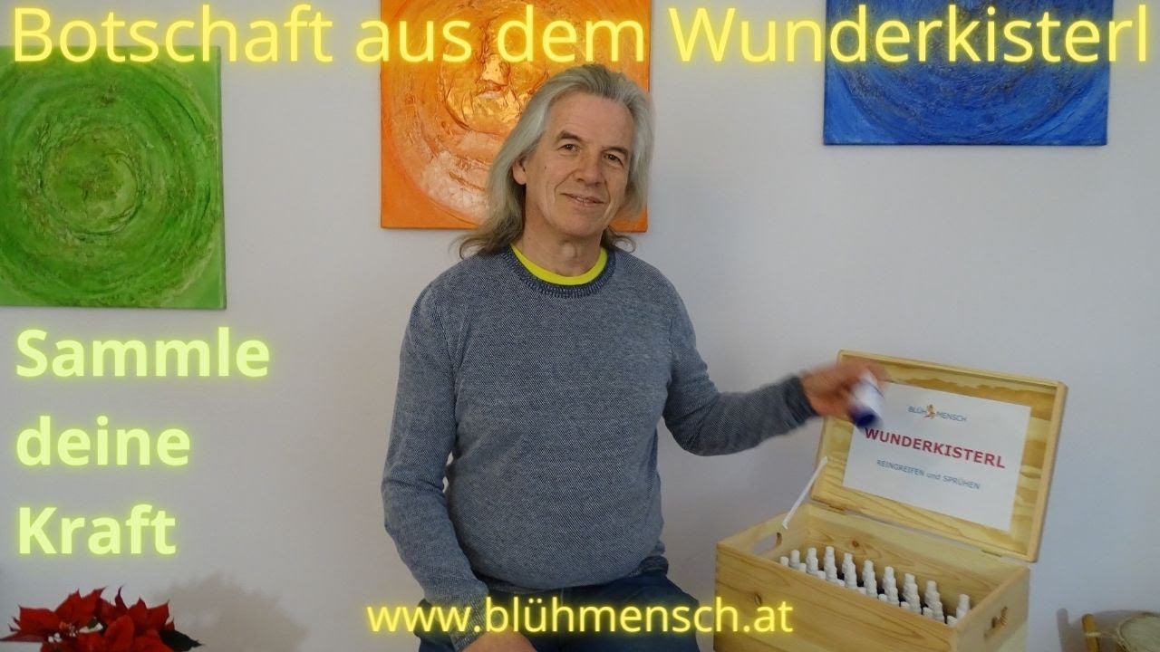 Botschaft-Wunderkisterl-L&ouml;sung-Situation-Lebensthema