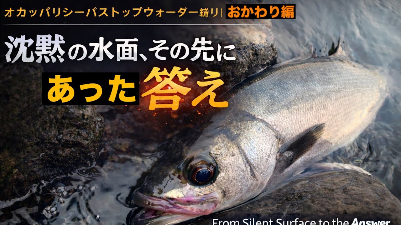 オカッパリシーバストップウォーター縛り沈黙の水面、その先にあった答え/From Silent Surface to the AnswerShore Seabass Topwater Only