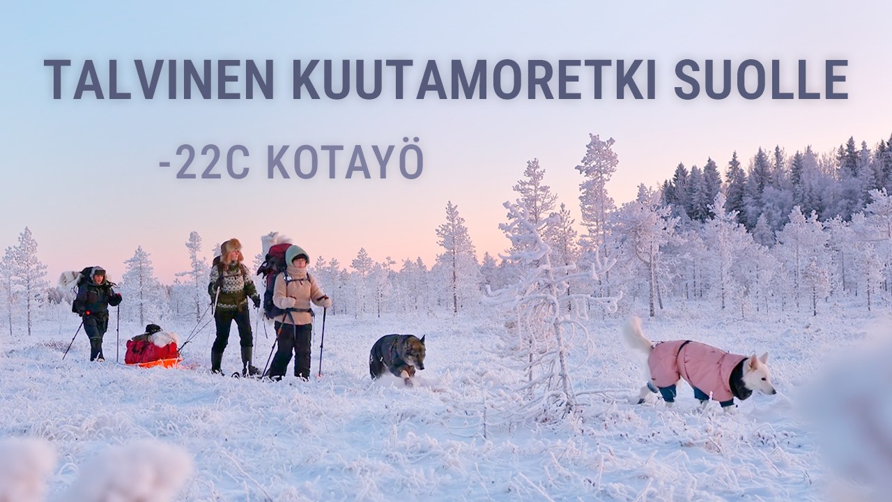 Talvinen kuutamoyö suolla | Hiihdetään kodalle koirien kanssa